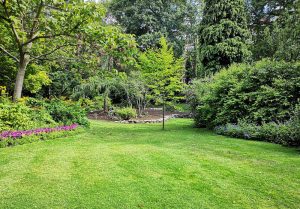 Optimiser l'expérience du jardin à Les Choux