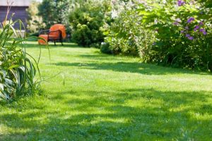 travaux jardin et paysage Les Choux